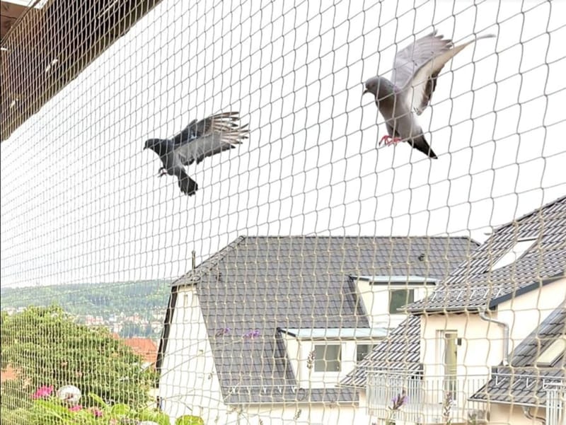 pigeon net installation