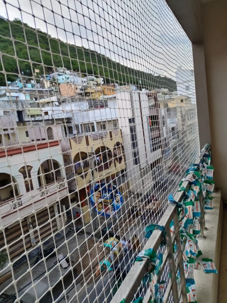 pigeon nets in Guntur